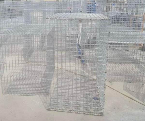 IMG-20240614-WA0005 Gabion fence